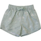 Sage Surfer Swim Shorts